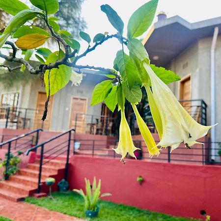 Babylon Lodge Marangu Eksteriør bilde