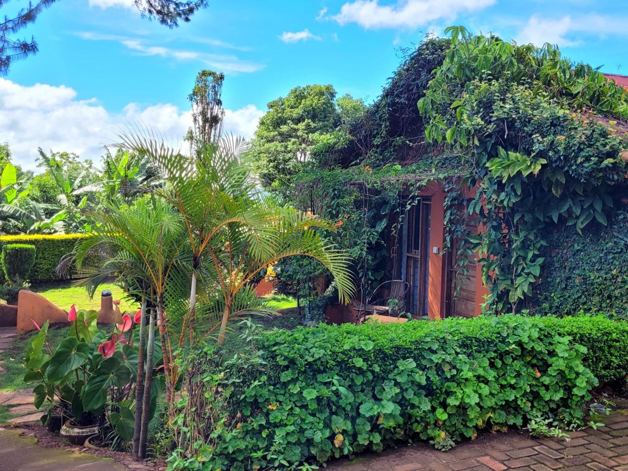 Babylon Lodge Marangu Eksteriør bilde