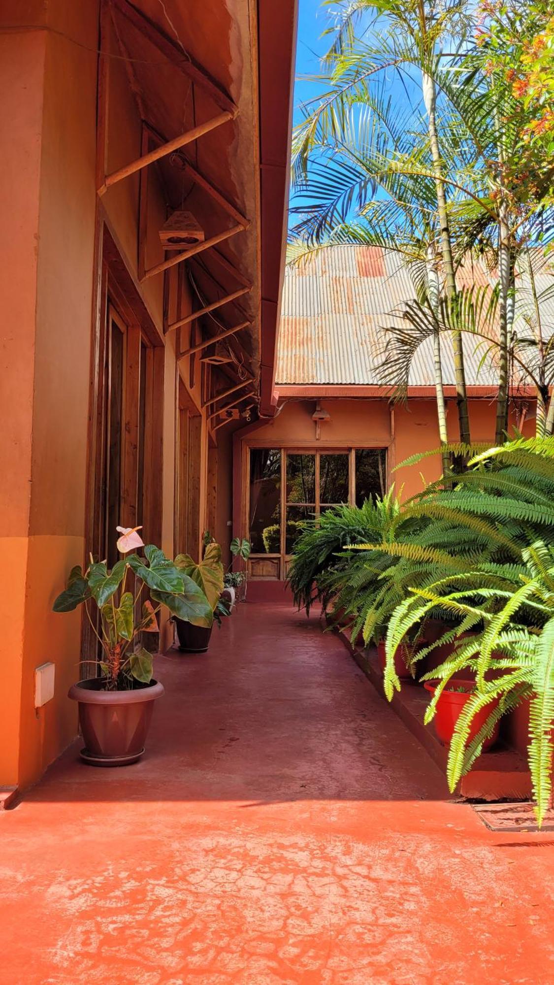 Babylon Lodge Marangu Eksteriør bilde