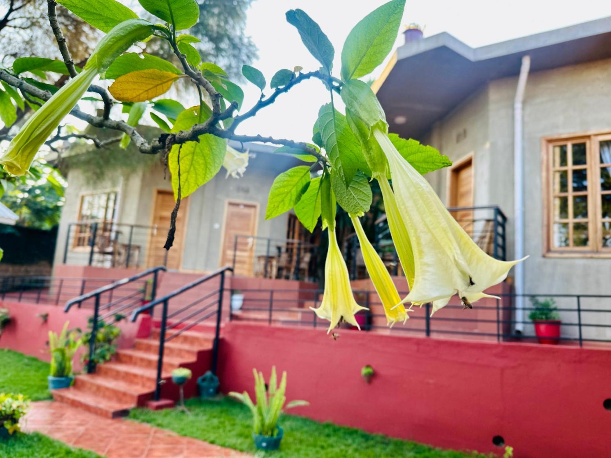Babylon Lodge Marangu Eksteriør bilde